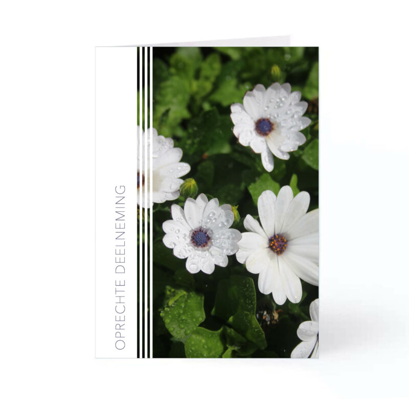 Rouwkaartje bloem wit